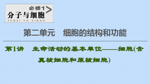 高考生物一轮复习第2单元细胞的结构和功能第1讲生命活动的基本单位__细胞课件苏教版必修1