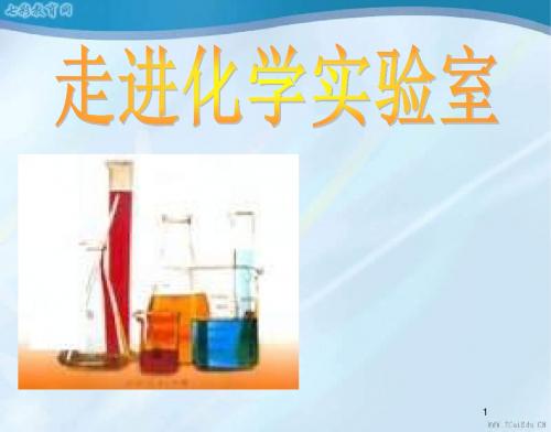 化学九年级上鲁教版1.3走进化学实验室课件.