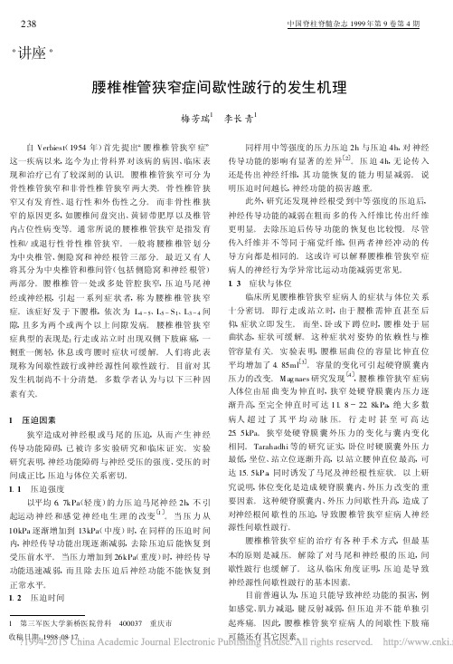 腰椎椎管狭窄症间歇性跛行的发生机理_梅芳瑞