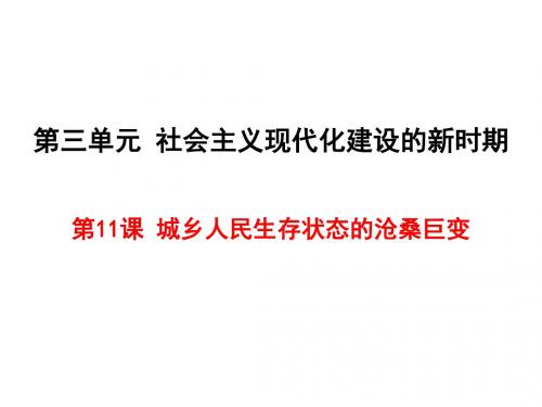 川教版历史八年级下册第11课《城乡人民生存状态的沧桑巨变》ppt课件
