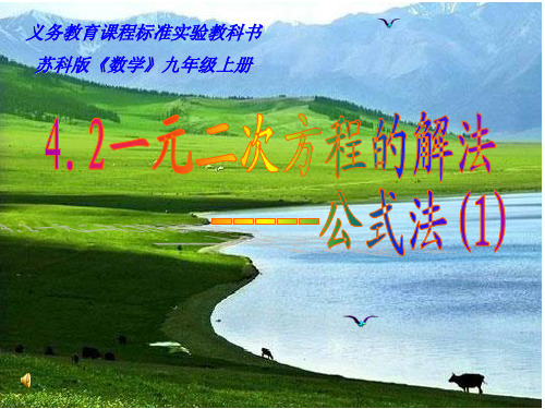 一元二次方程的解法--公式法(1)全面版