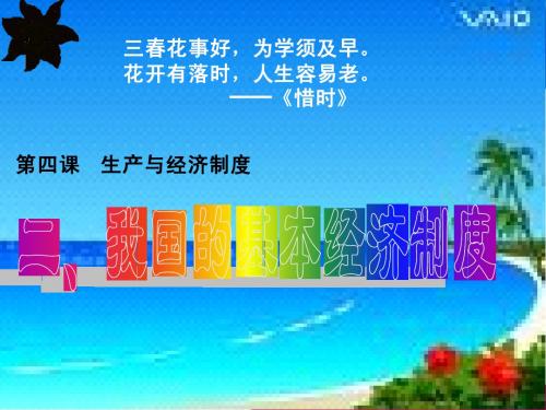 政治：2.4.2《我国的基本经济制度》课件(新人教版必修1)