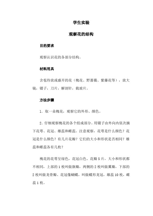 观察花的结构