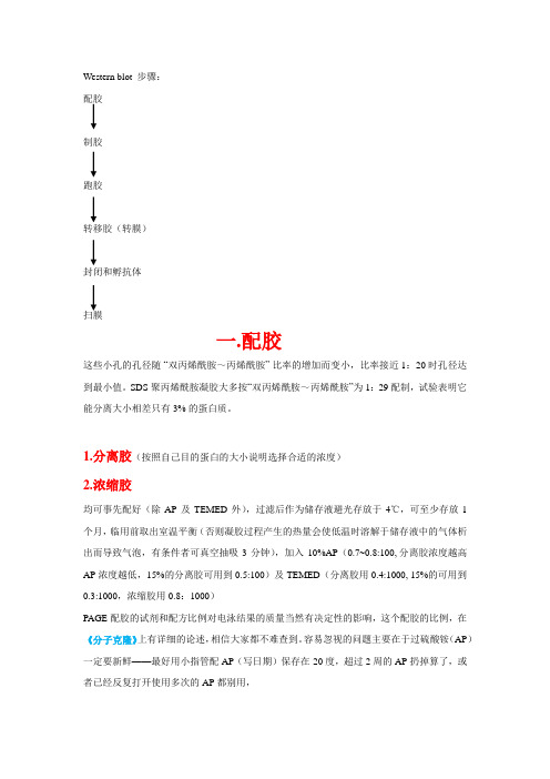 WB完整步骤
