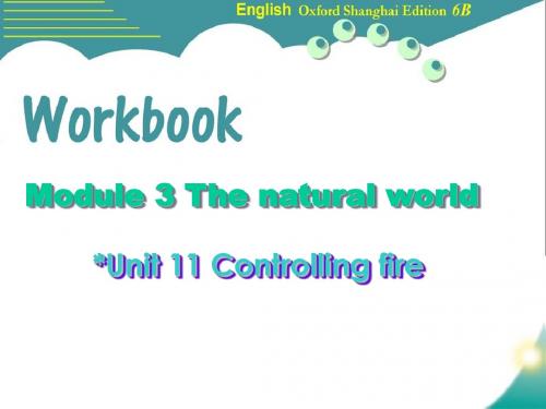最新牛津上海版英语六年级下册 Unit 11 Controlling fire公开课课件