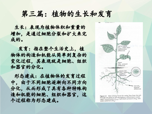 植物细胞信号转导