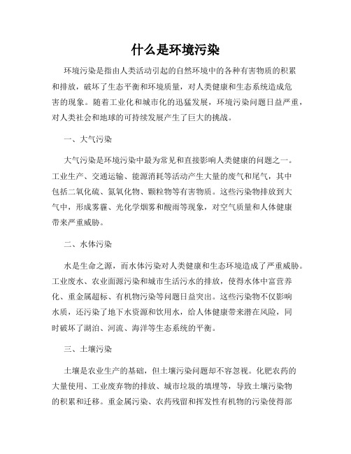 什么是环境污染