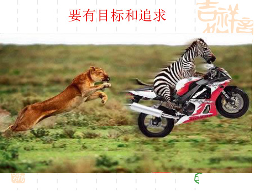 项目五_配送分拣与配货作业