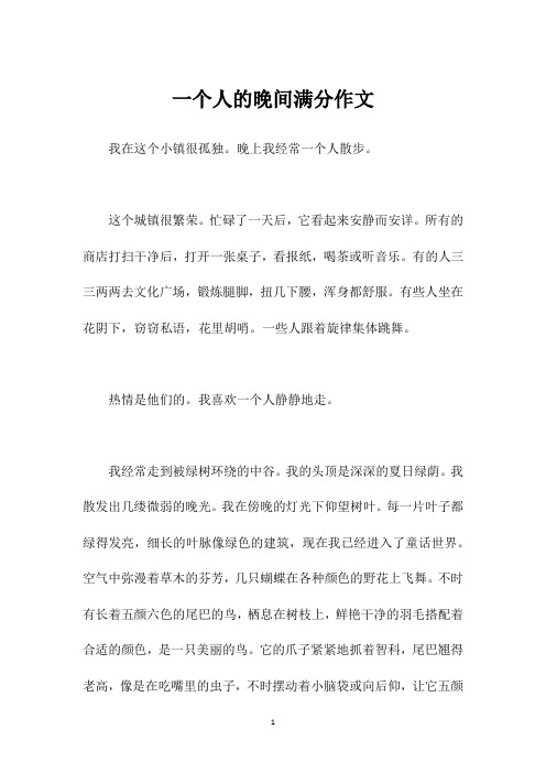 一个人的晚间满分作文