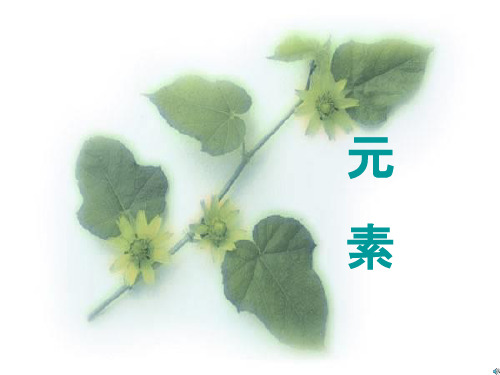 化学：4.2《元素》课件(人教版九年级上)