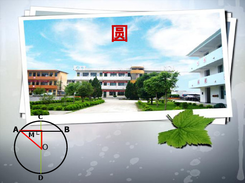 第二十四章圆复习课-ppt下载
