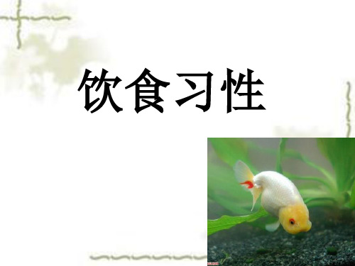 金鱼的饮食习性