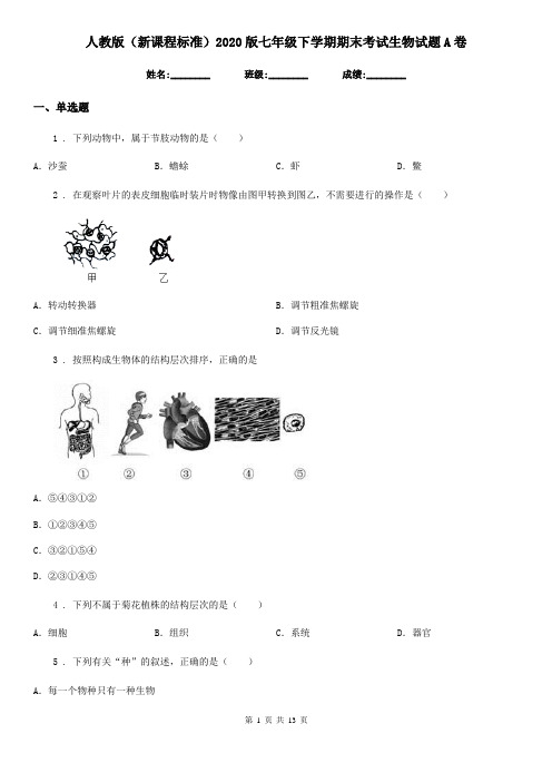 人教版(新课程标准)2020版七年级下学期期末考试生物试题A卷新版