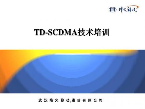 TD-SCDMA原理与关键技术