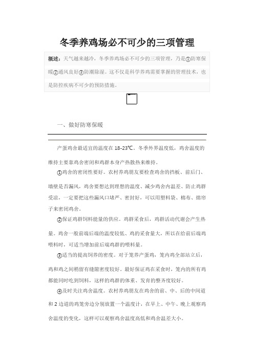 冬季养鸡场必不可少的三项管理