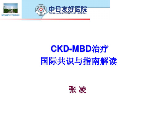 CKD-MBD治疗国际共识与指南解读