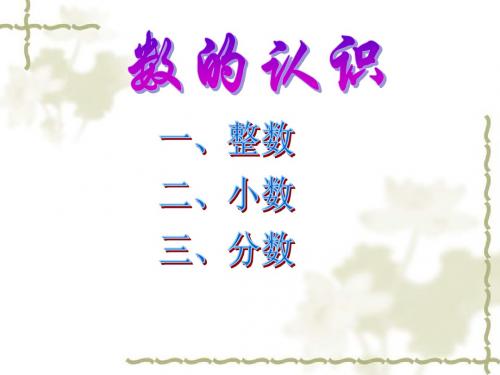 六年级下册数学教学课件-7 总复习《数的认识》苏教版(共55张PPT)