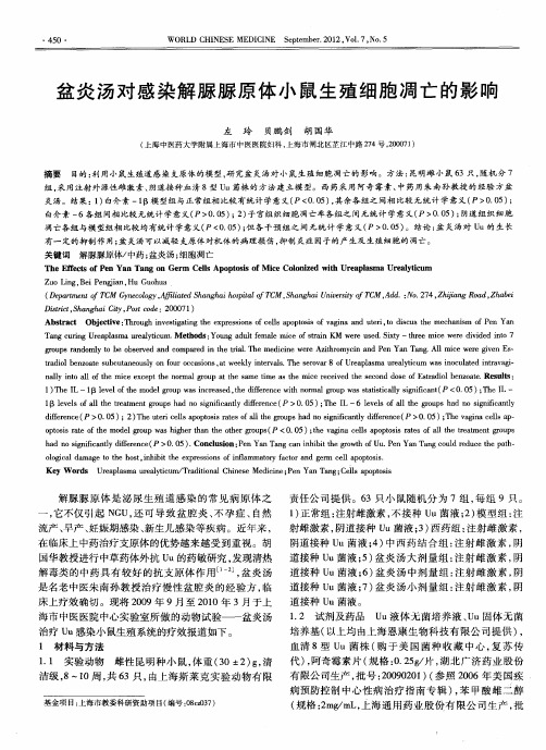 盆炎汤对感染解脲脲原体小鼠生殖细胞凋亡的影响