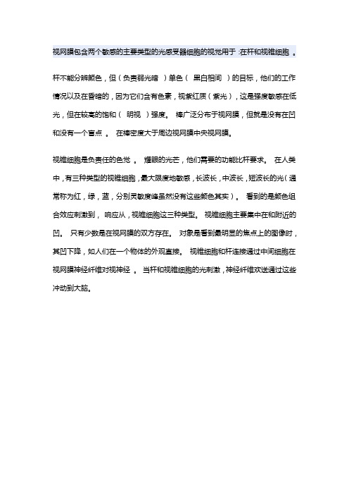 视杆细胞,视锥细胞