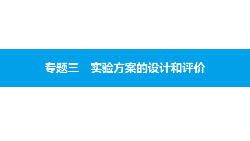 2021年春人教版化学中考复习课件 实验方案的设计和评价