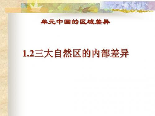 三大自然区的内部差异ppt1