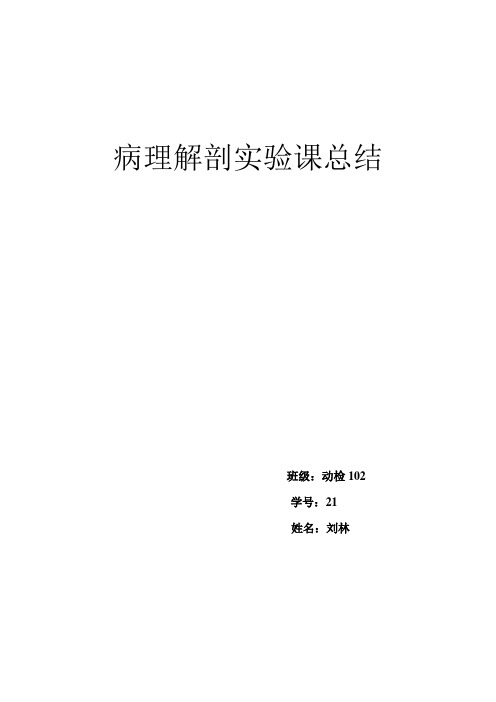 病理解剖实验课总结