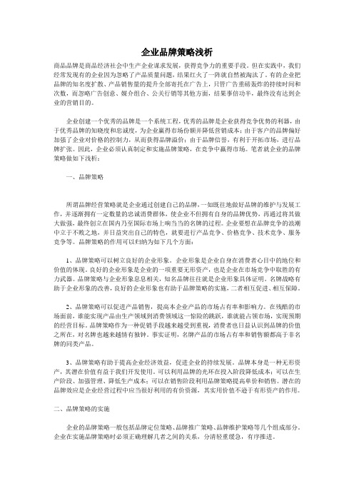 企业品牌策略浅析