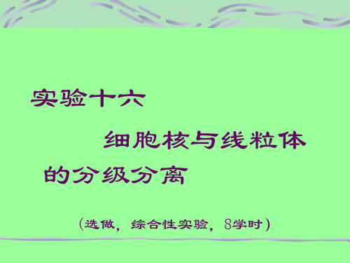 实验十六细胞核与线粒体的分级分离