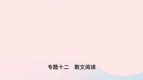 山东省临沂市2019年中考语文专题复习十二散文阅读课件