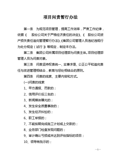 【制度范例】集团公司项目问责暂行办法(WORD8页)