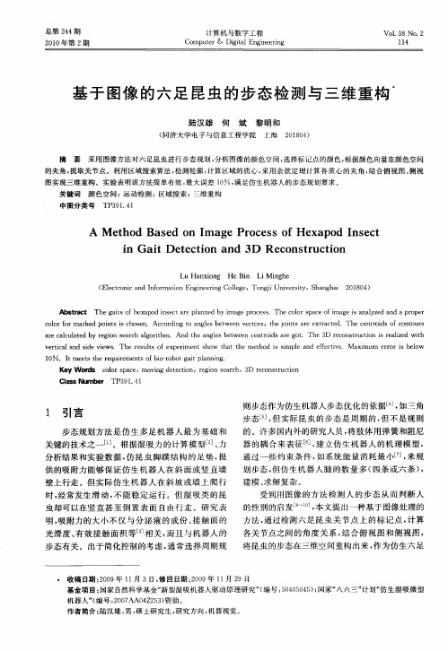 基于图像的六足昆虫的步态检测与三维重构