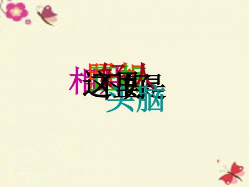 长春版语文一上《把我寄给爸爸》课件2