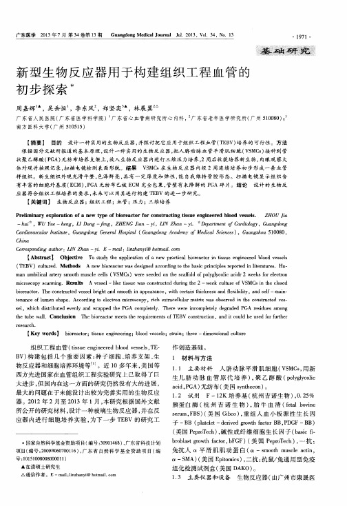 新型生物反应器用于构建组织工程血管的初步探索