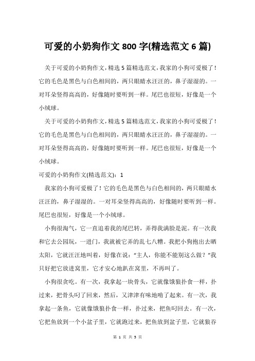 可爱的小奶狗作文800字(范文6篇)
