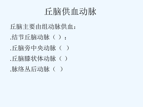 丘脑供血动脉及丘脑梗死