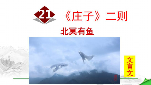 八年级下册语文第6单元教学课件【精品】