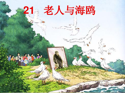 (公开课课件)六年级上册语文《老人与海鸥》课件