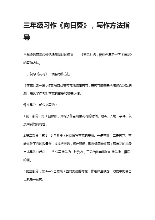 [精]三年级习作《向日葵》,写作方法指导