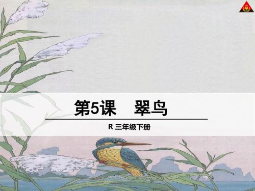 小学语文三年级下册  5 翠鸟1