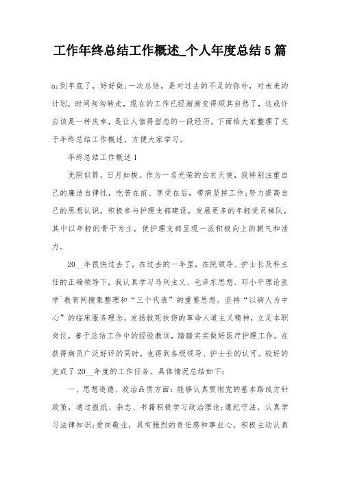 工作年终总结工作概述_个人年度总结5篇