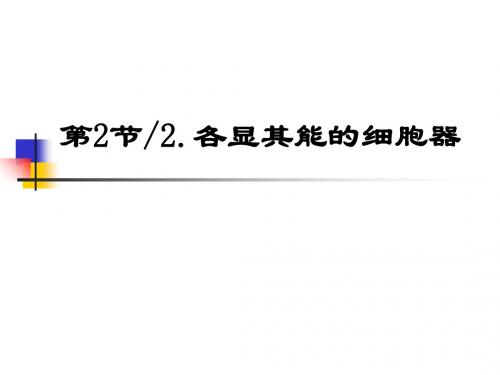 沪科版生物高中第一册3.2《细胞器》(共18张PPT)