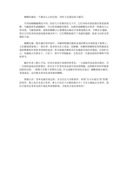 蝴蝶化蛹