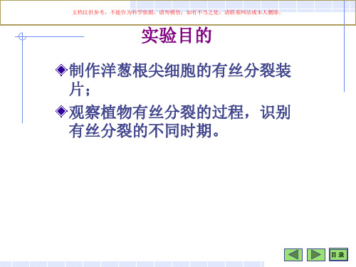 洋葱根尖细胞有丝分裂观察课件