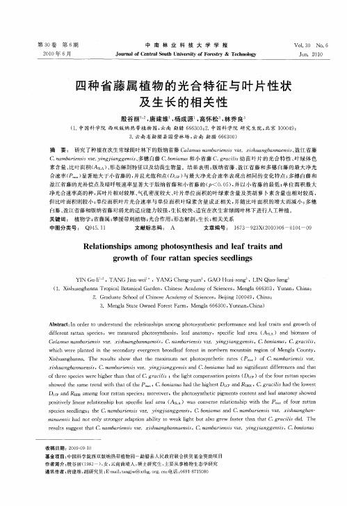 四种省藤属植物的光合特征与叶片性状及生长的相关性