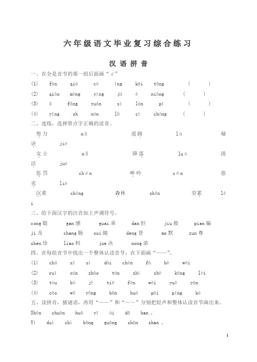 苏教版六年级语文毕业复习综合练习