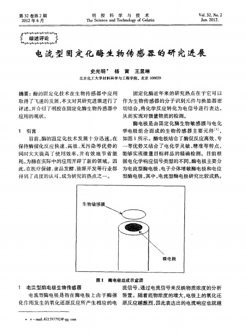 电流型固定化酶生物传感器的研究进展