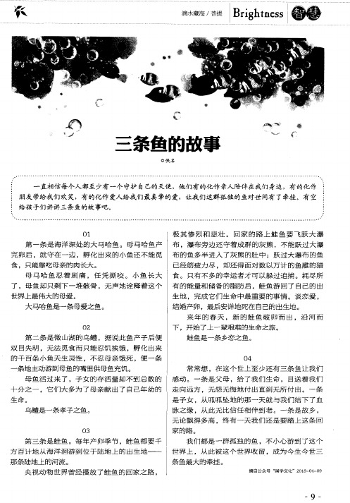 三条鱼的故事