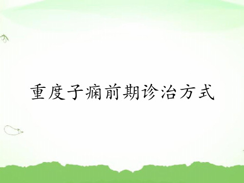 重度子痫前期诊治方式