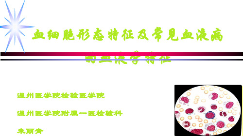 诊断学 血液学检查