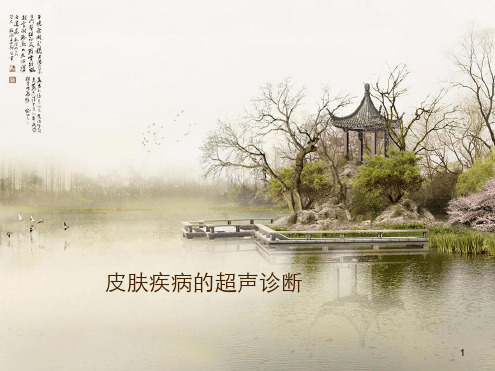 皮肤疾病的超声诊断